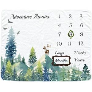 Baby monthly milestone blanket